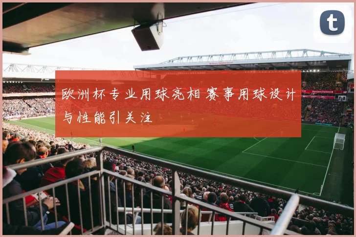 欧洲杯专业用球亮相 赛事用球设计与性能引关注