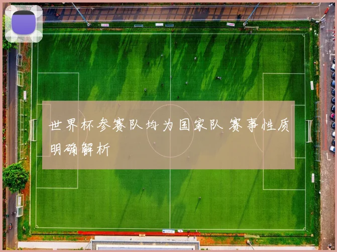 世界杯参赛队均为国家队 赛事性质明确解析