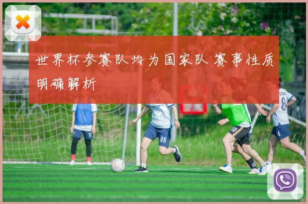 世界杯参赛队均为国家队 赛事性质明确解析