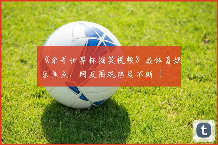 《杀手世界杯搞笑视频》成体育娱乐焦点，网友围观热度不断_1