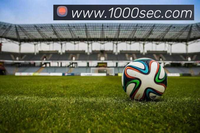 yy易游体育官网登录平台生态图